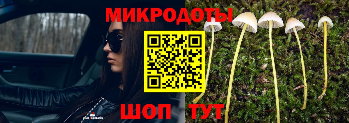 Псилоцибиновые грибы GOLDEN TEACHER Ростов-на-Дону