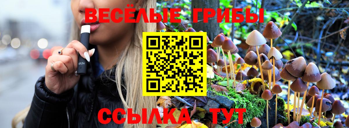 Галлюциногенные грибы мицелий  Вход с VPN  Ростов-на-Дону 